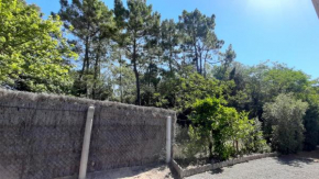 La Forêt des Rossignols - maison 4 à 6 personnes